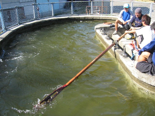 Rowing Tank in HIT
